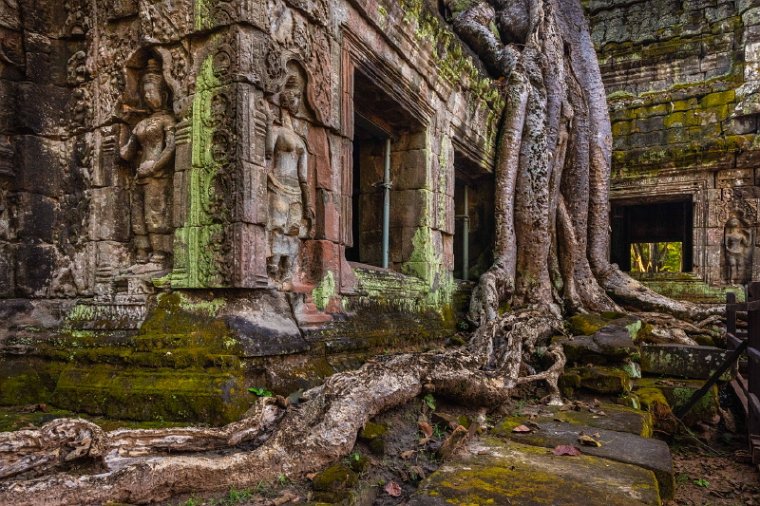 055 Cambodja, Siem Reap, Ta Prohm.jpg